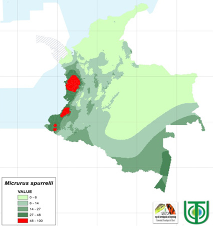 F:\Entremapas\Micrurus_spurrelli.jpg